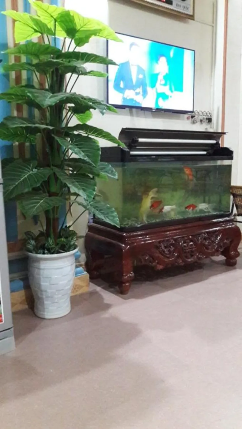 Thien Phuong Guesthouse - Ảnh 15