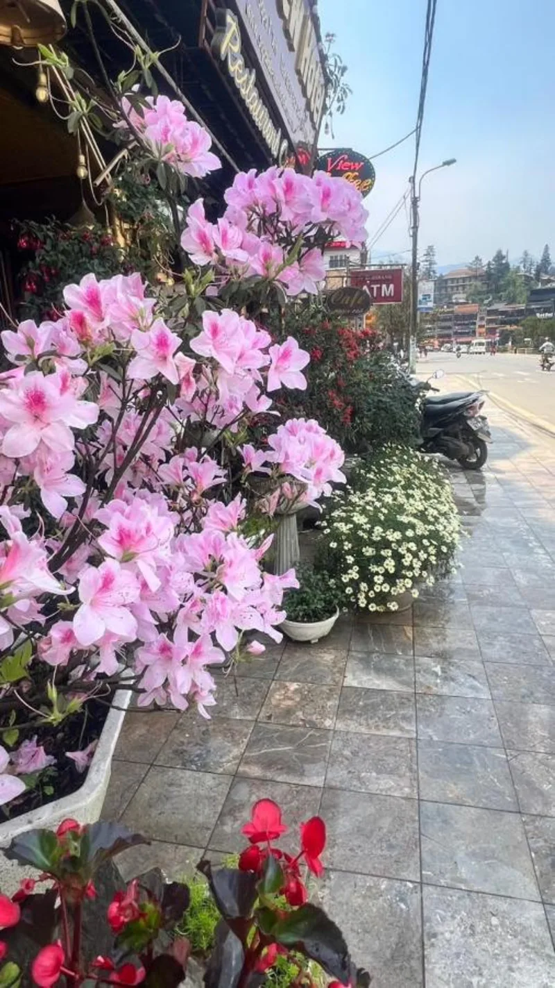 Sapa Lake View Hotel - Ảnh 13