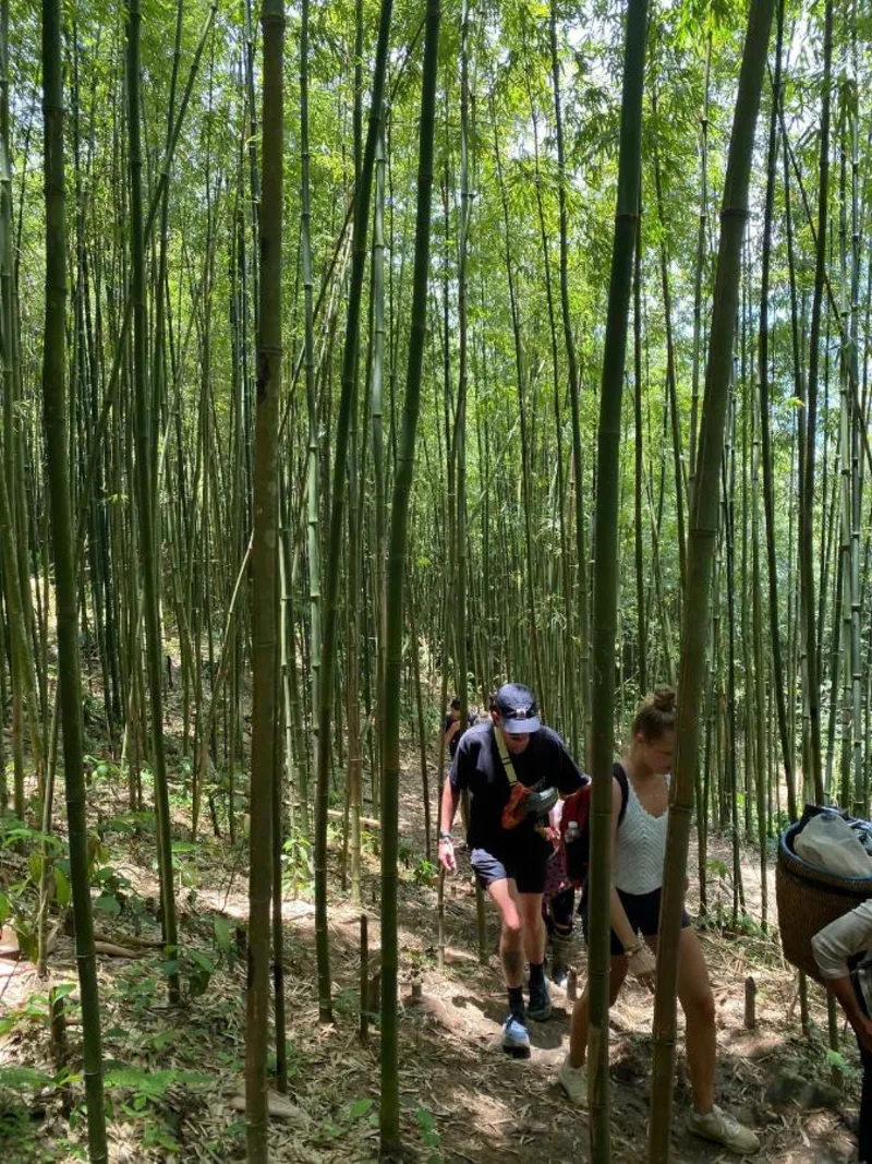 Suong May Sapa Homestay & Trekking - Ảnh 1