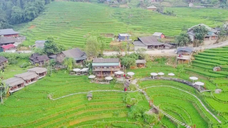 lúa Cafe Eco Lodge - Ảnh 1