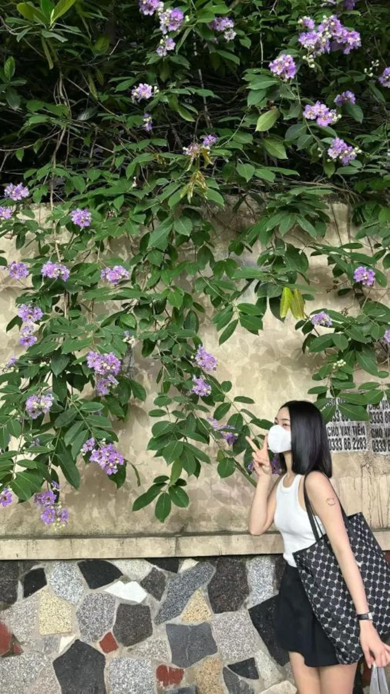 olivia Hotel - Ảnh 13