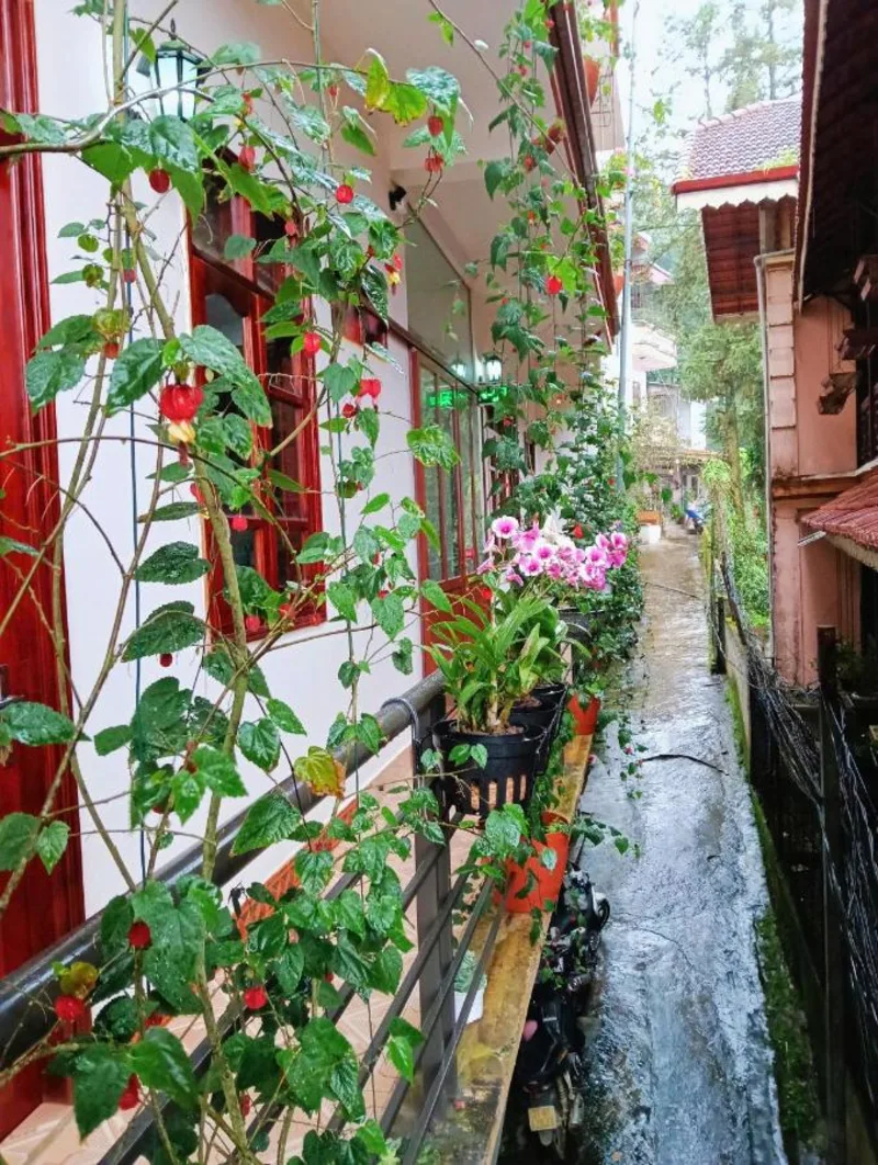 Nấm Homestay - Ảnh 10