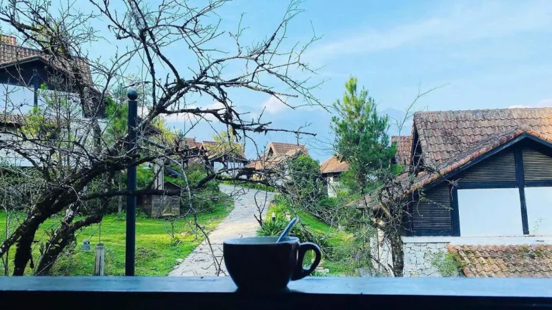 Sapa Heaven - Sapa Jade Hill - Ảnh 12