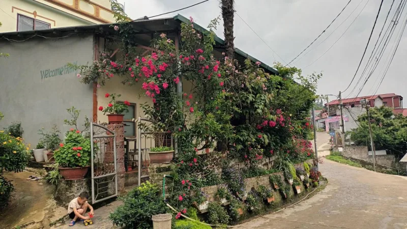You hour homestay - Ảnh 1