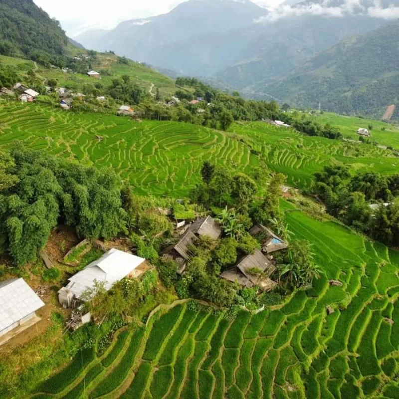 Mao Sapa trekking and homestay - Ảnh 15