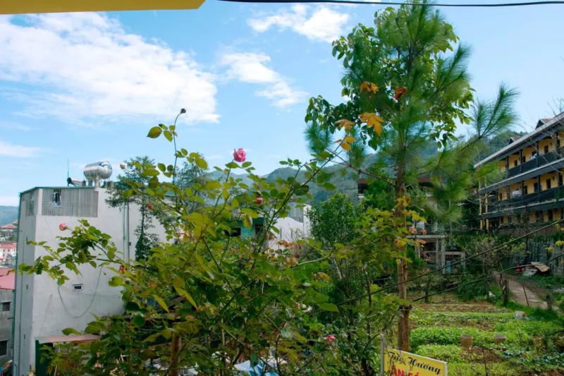 Tạo Phượng Sa Pa Hotel - Ảnh 6