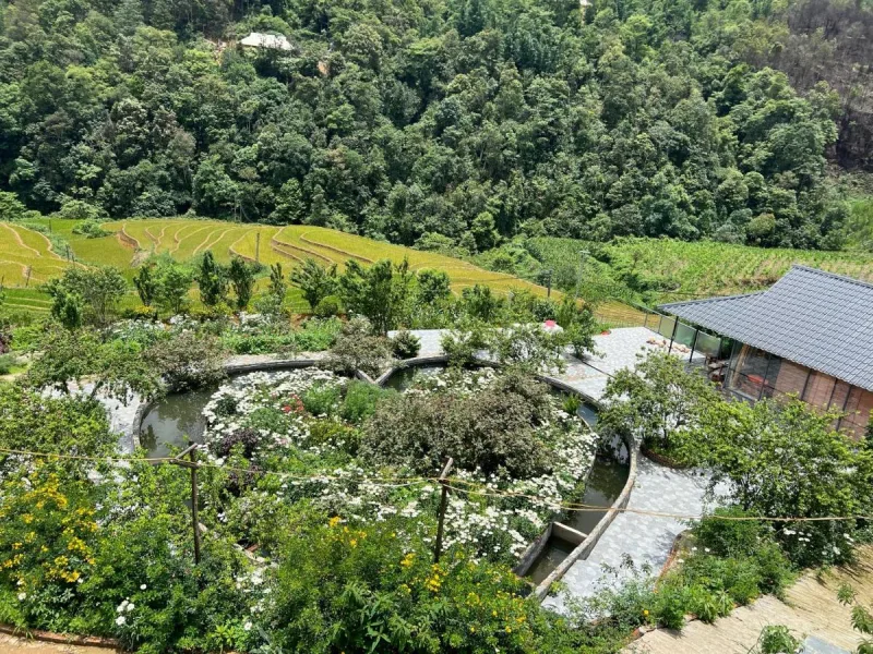 Sapawine Homestay - Ảnh 11