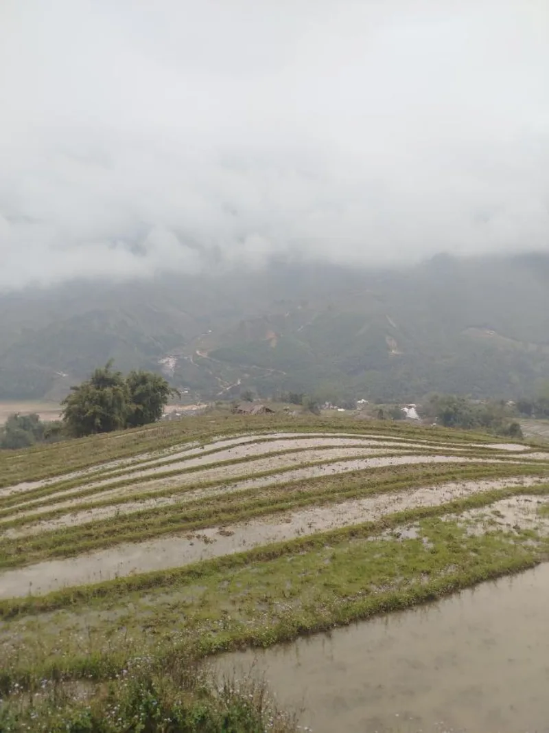 H'mong Village Homestay - Ảnh 2