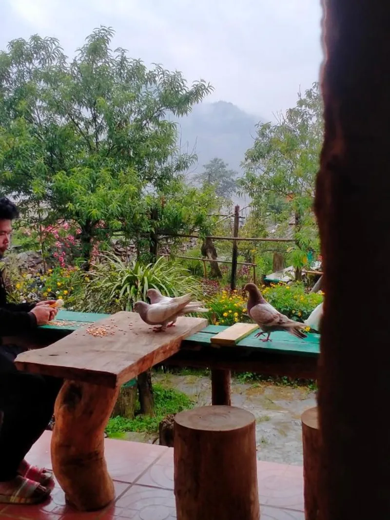 H'mong Cổ Trấn Sapa Homestay & Restaurant - Ảnh 11