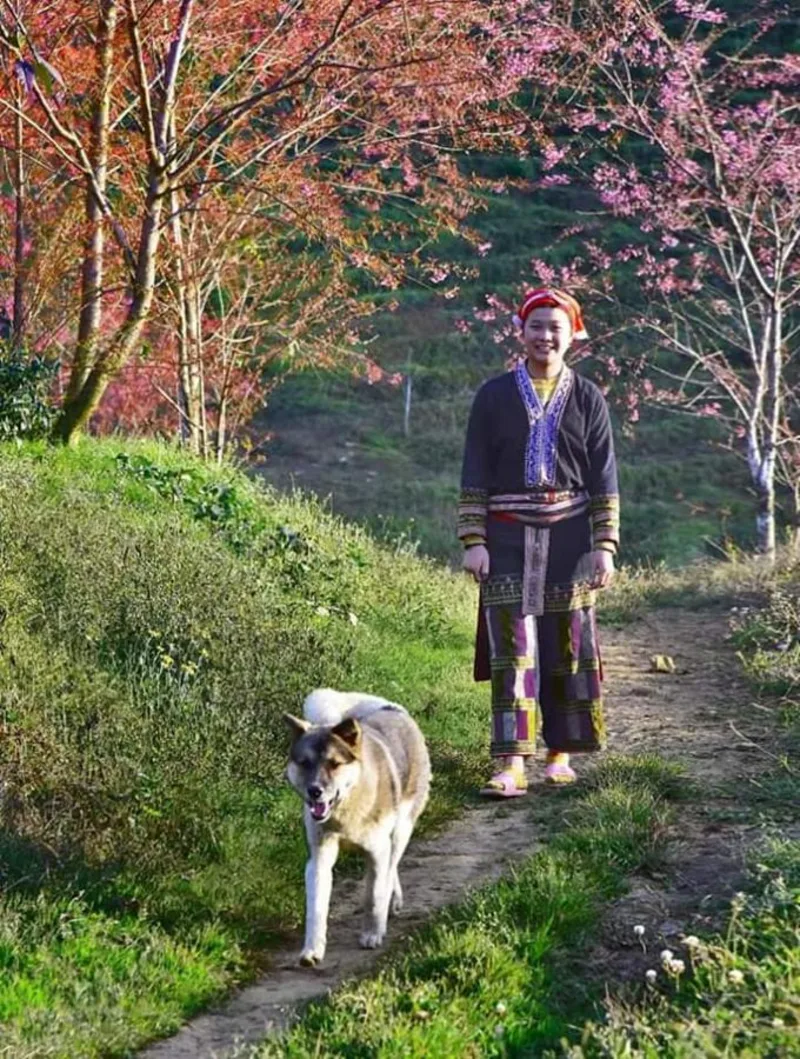 Sapa Dao Homestay - Ảnh 3