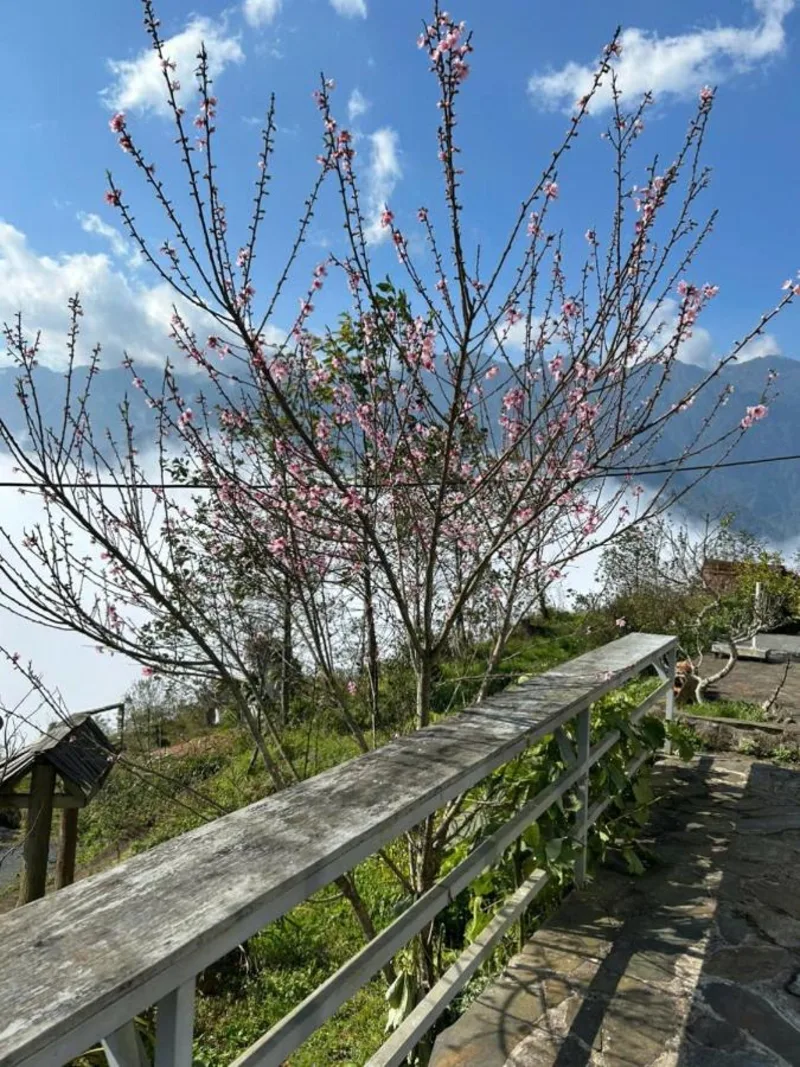 Homestay 1579 SaPa - Ảnh 5