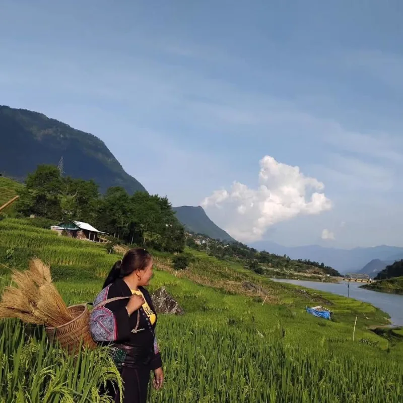HOMESTAY ZIZI-SINh - Ảnh 3