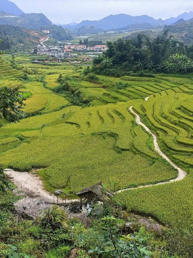 Homestay Núi Đá Tả Phìn - Ảnh 1