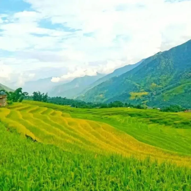 Chi Homestay - Ảnh 1