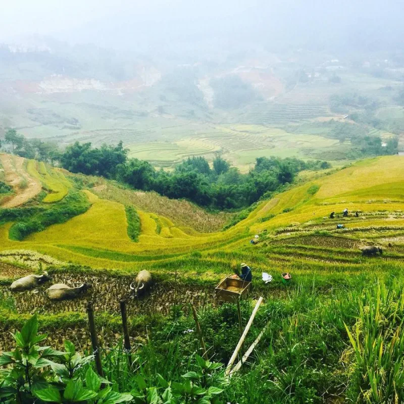 Authentic Homestay Sapa - Ảnh 3