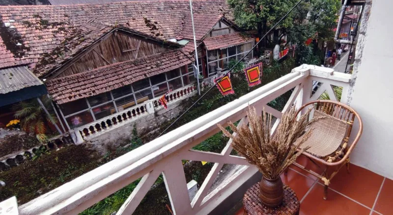 Indigo Cat - Ảnh 15