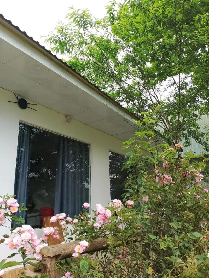 Tay Bac Sky Homestay - Ảnh 11