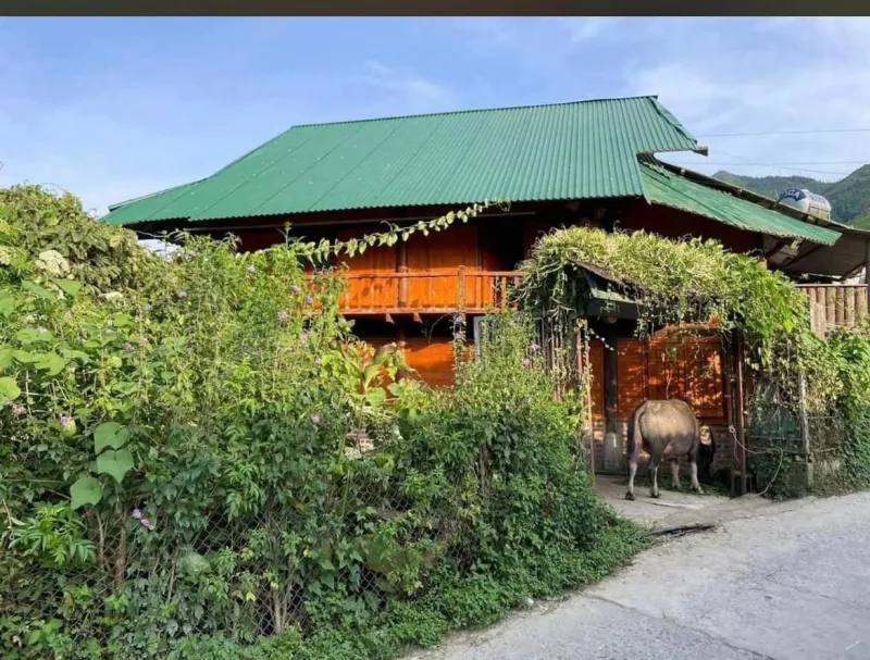 May Homestay & Mountain Tour Sapa - Ảnh 13