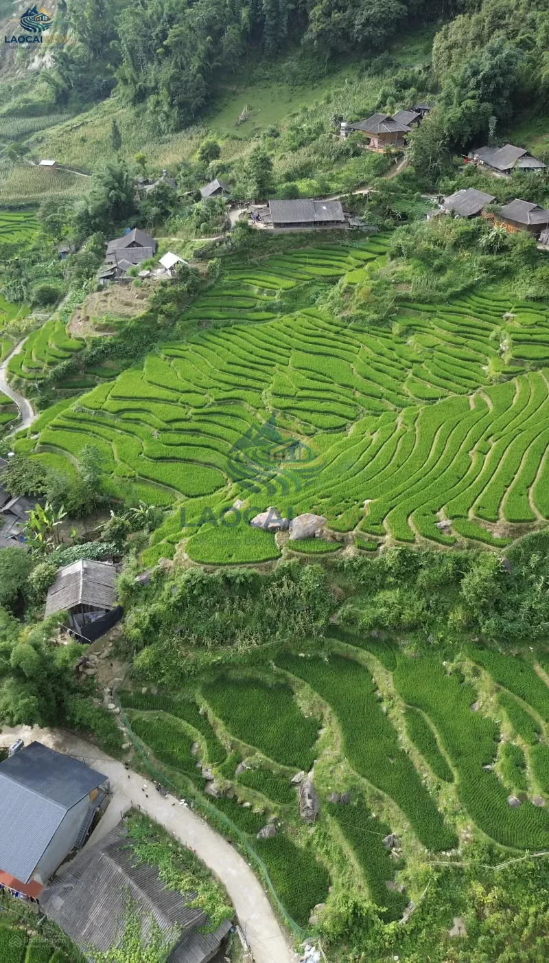 Lô đất 3.000m² Best View Mường Hoa – Giá 4tr/m² (12 tỷ), Pháp lý Sổ đỏ, Kinh doanh Homestay & Resort - Ảnh 3