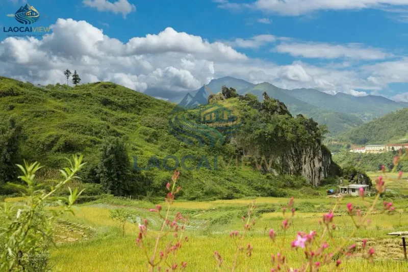 Đất thương mại 4,07ha, sổ đỏ, view 360°, gần Hang Tả Phìn, Sa Pa – Giá 250 tỷ (thương lượng) - Ảnh 2