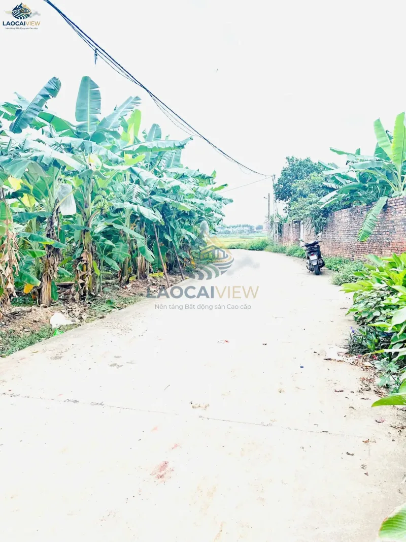 Đất nền 216m², mặt tiền 6,6m, giá 1,7 tỷ - Vị trí đắc địa Quyết Chiến Lão Hộ, Lào Cai - Đầu tư sinh lời ngay! - Ảnh 4