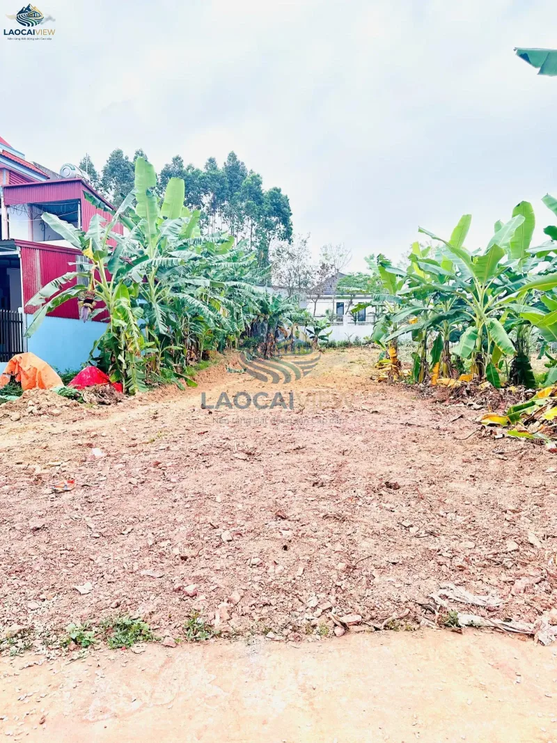 Đất nền 216m², mặt tiền 6,6m, giá 1,7 tỷ - Vị trí đắc địa Quyết Chiến Lão Hộ, Lào Cai - Đầu tư sinh lời ngay! - Ảnh 5