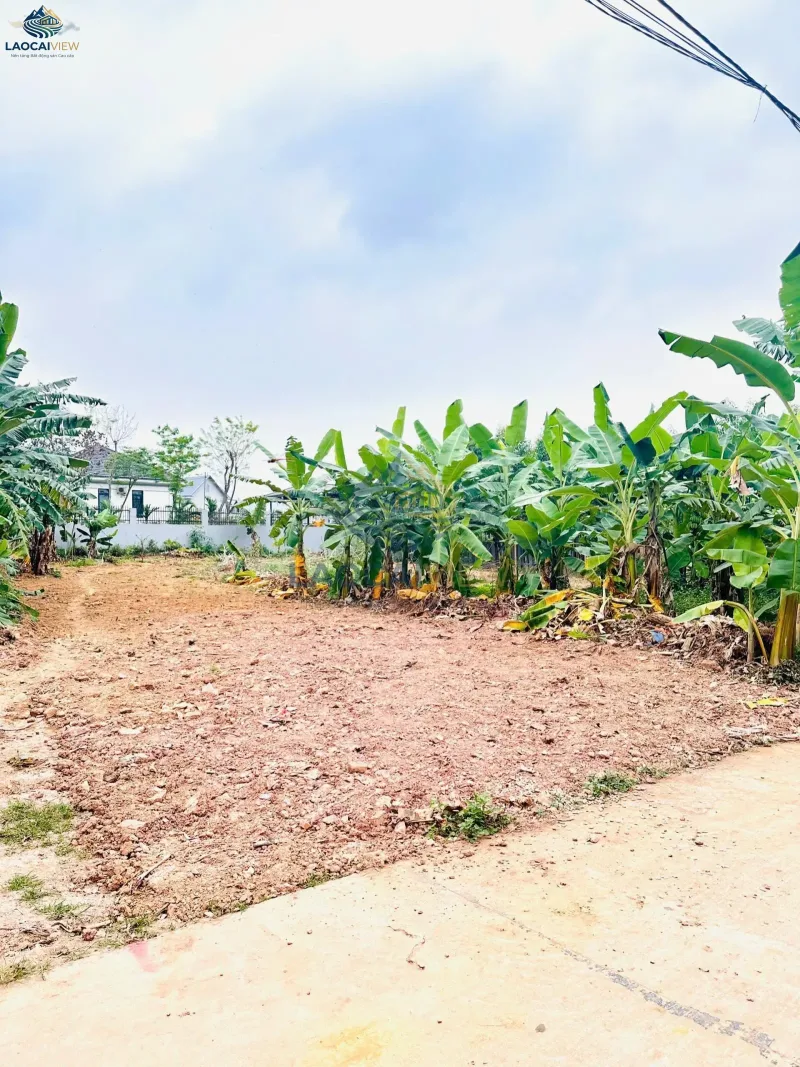 Đất nền 216m², mặt tiền 6,6m, giá 1,7 tỷ - Vị trí đắc địa Quyết Chiến Lão Hộ, Lào Cai - Đầu tư sinh lời ngay! - Ảnh 8