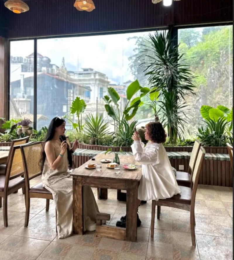 Azalea Muong Hoa Sapa - Ảnh 13