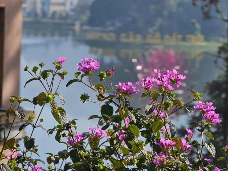 Dang Khoa Garden Inn - Ảnh 8