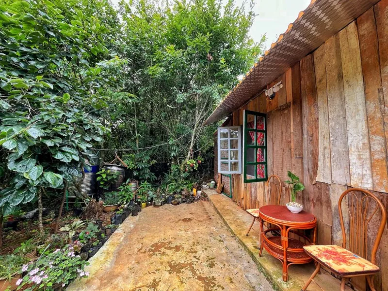 Private House in SaPa centre & Kitchen - Ảnh 8