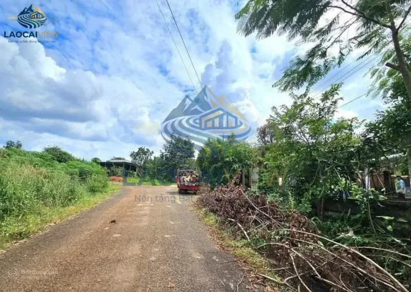 Biệt thự 4 phòng ngủ, 3 WC, 650m², mặt tiền 15m, giá 42,25 tỷ – Cam Đường, Lào Cai – Vị trí vàng, pháp lý sổ đỏ - Ảnh 3