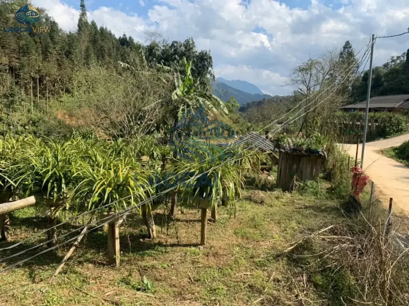 Đất nền 500m², mặt tiền 35m, đường vào 5m, giá 1,8 tỷ - Cơ hội đầu tư tại Xã Tả Phìn, Sa Pa, Lào Cai - Ảnh 3