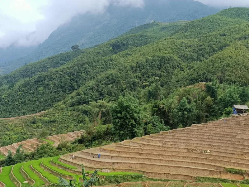 Sapa's Soul - Ảnh 13
