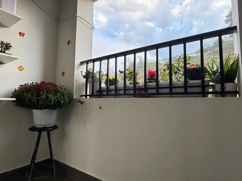 Irista Hill - Ảnh 7