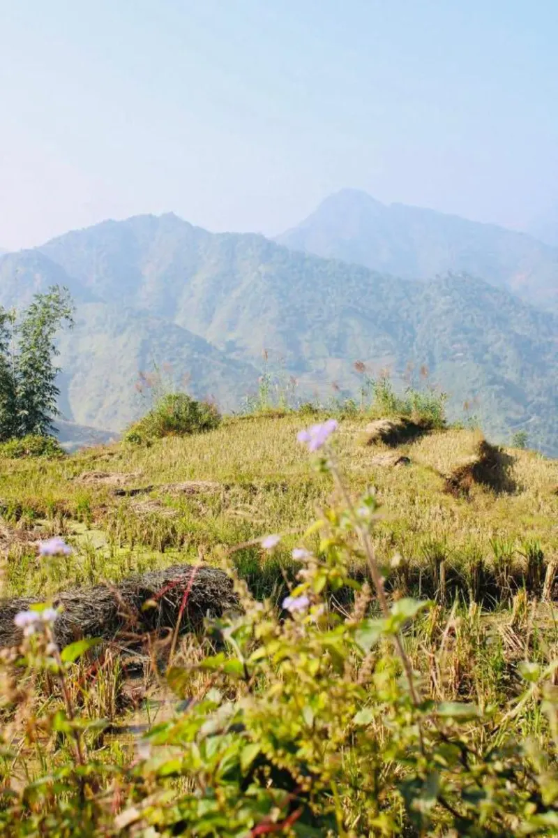 HAPPY FAMILY HOTEL - Ảnh 15