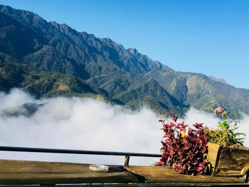 Mintu Home - Ảnh 9