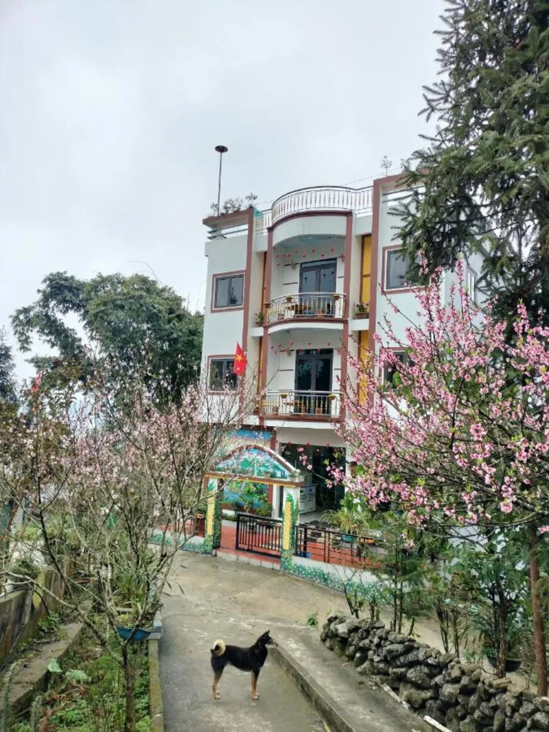 Nhà Nghỉ Ngựa Bay - Ảnh 2