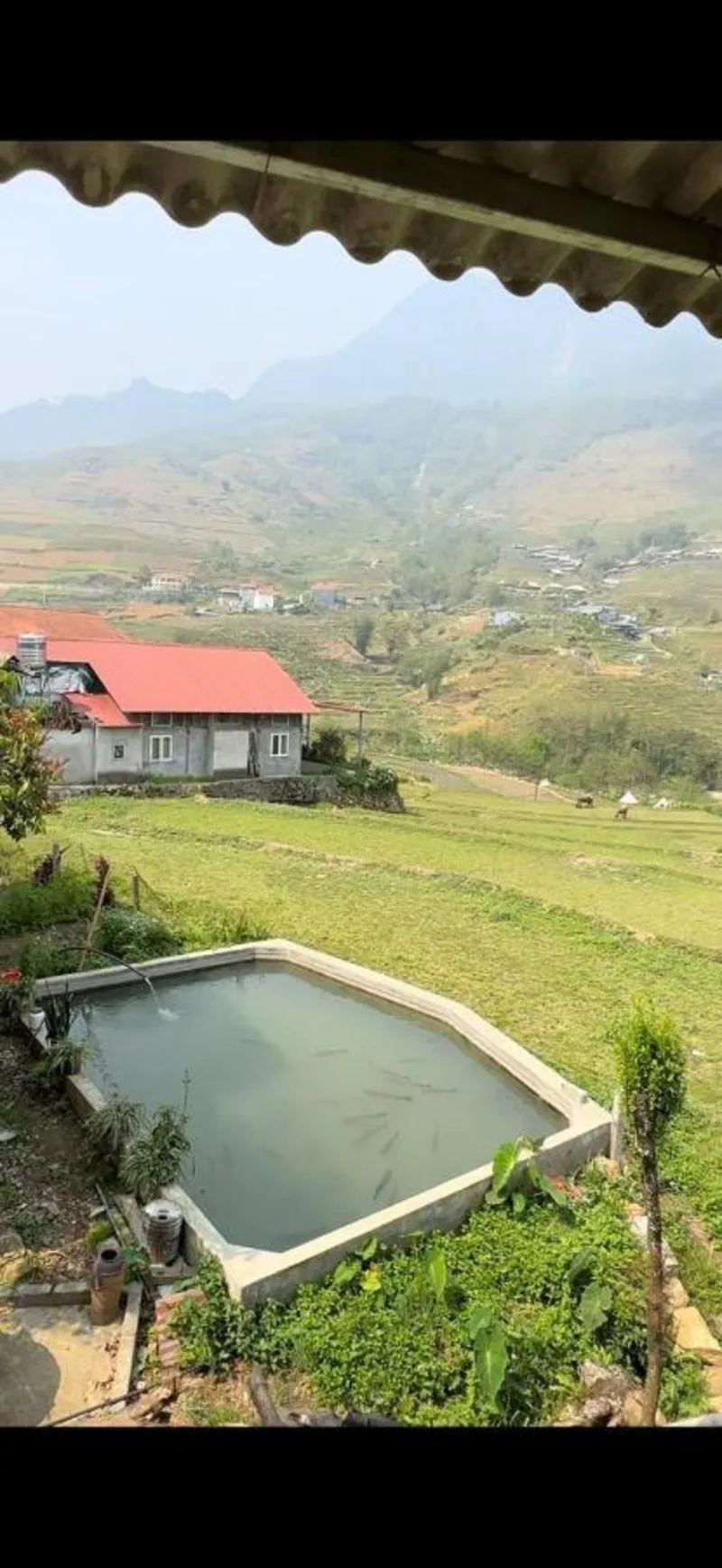 Merly House - Ảnh 13