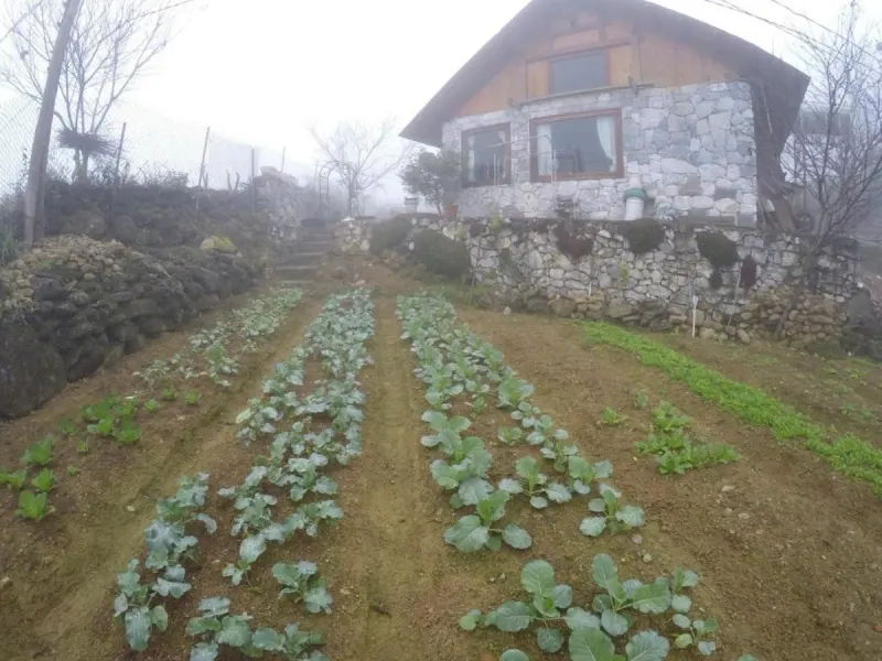 Vi's House - Nature in the middle of Hmong village - Ảnh 7