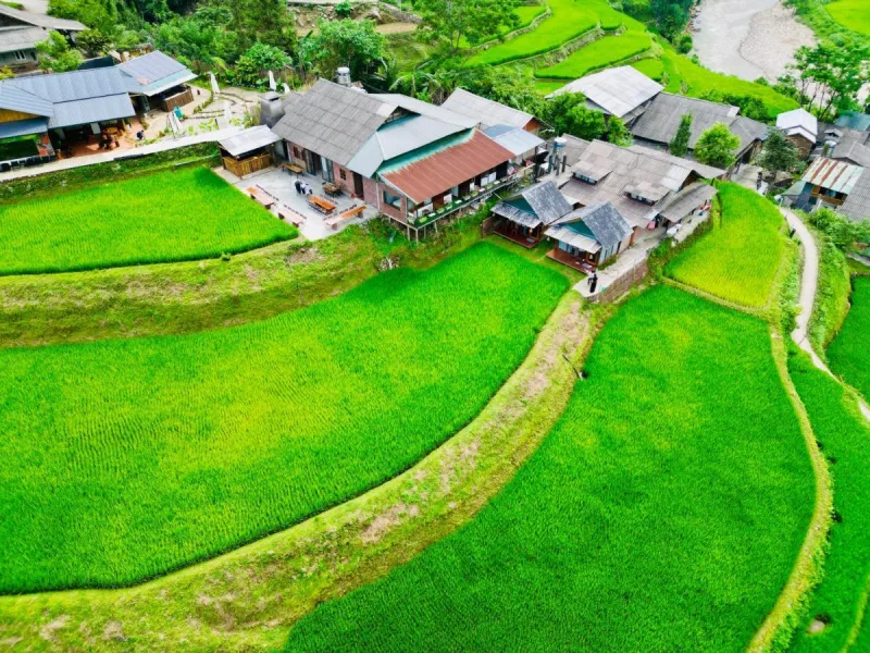 Tavan Paddy Field Homestay - Ảnh 1