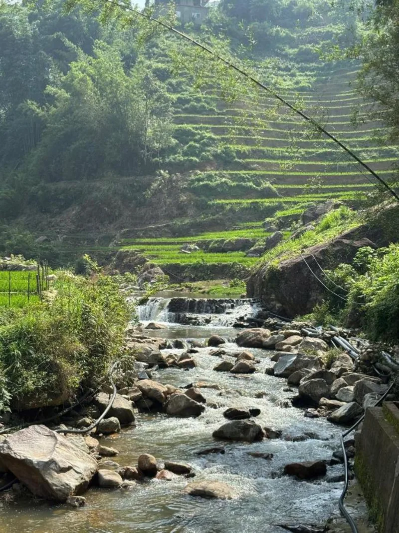 Sapa Soi Homestay - Ảnh 3