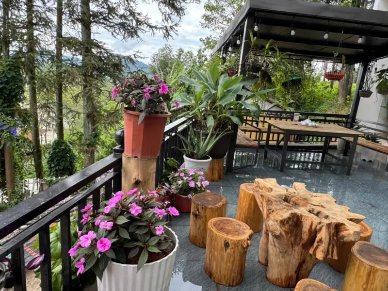 Pine Hill Villa Sapa - Ảnh 10