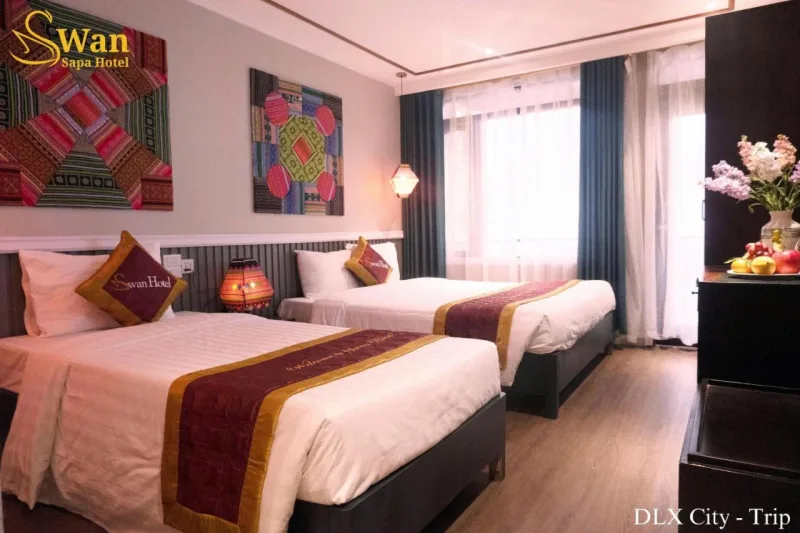 Sapa Swan Hotel - Ảnh 13