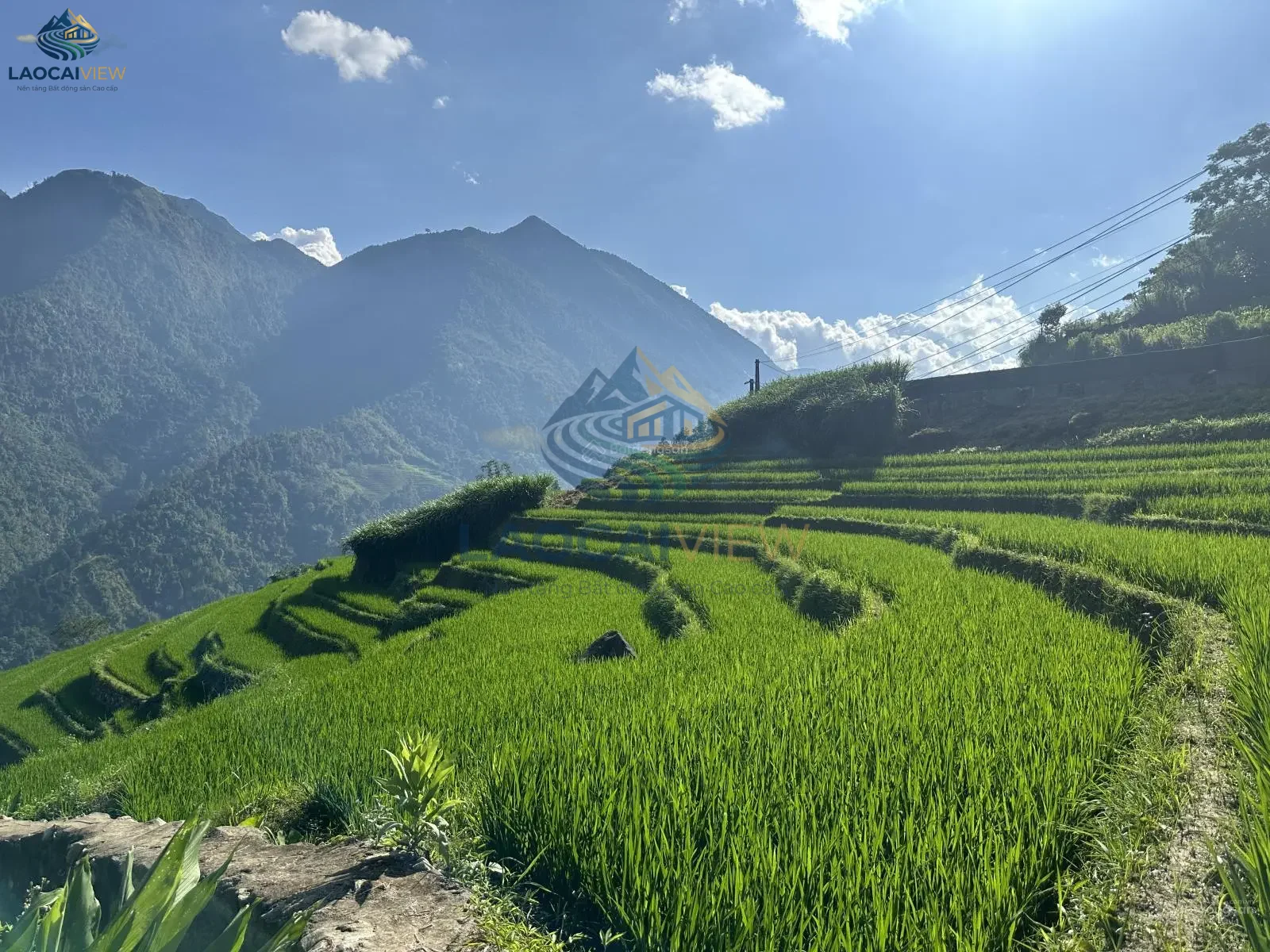 Bán Đất Mặt Tỉnh Lộ 152, Xã Tả Van, Lào Cai - 350m2, Giá 2 Tỷ, Pháp Lý Đầy Đủ