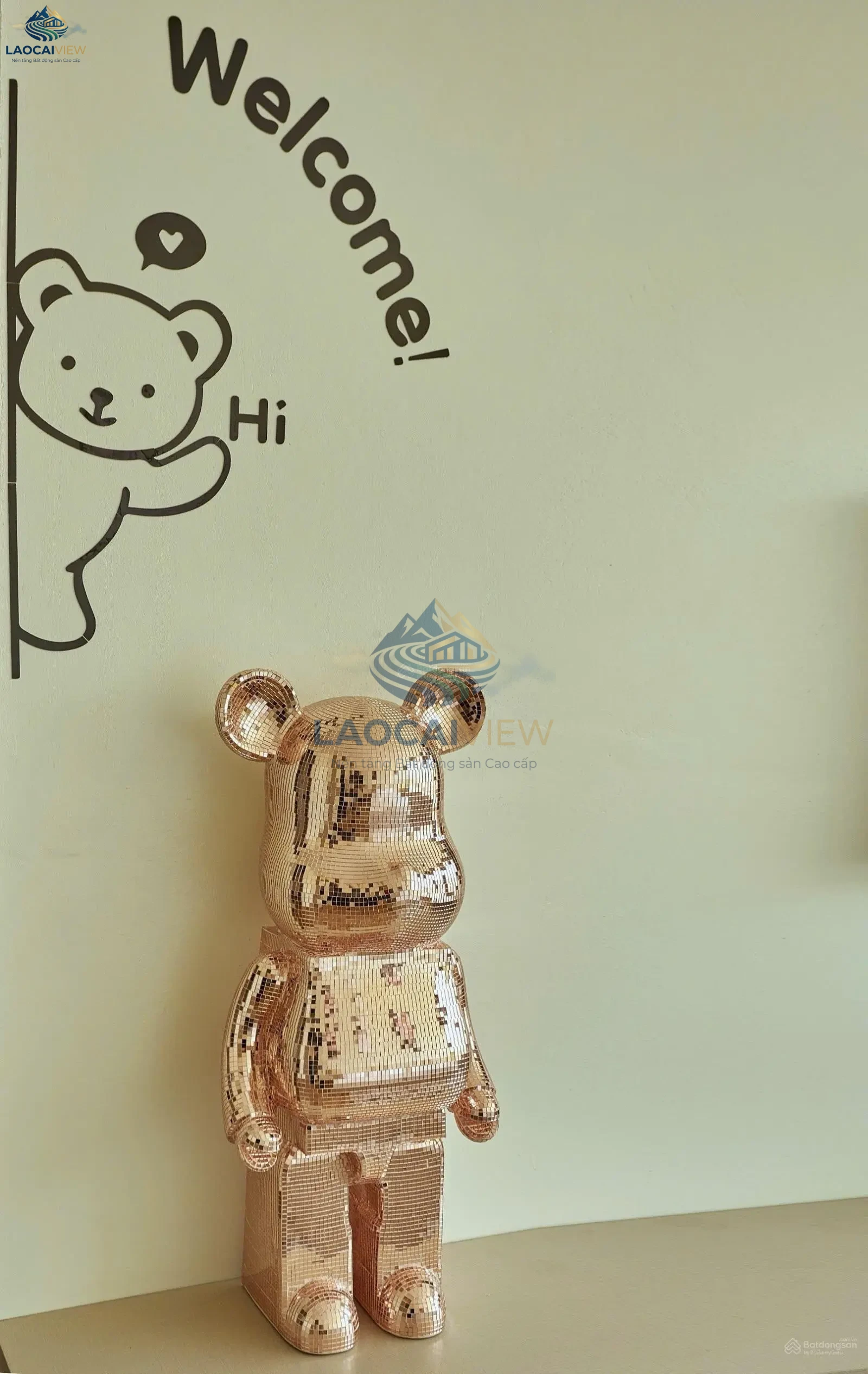 Ảnh 8