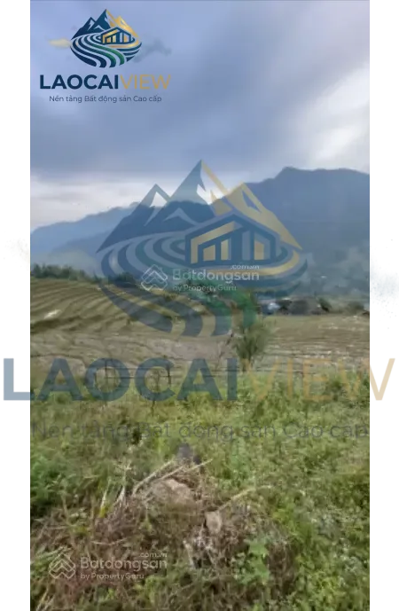 Ảnh 3