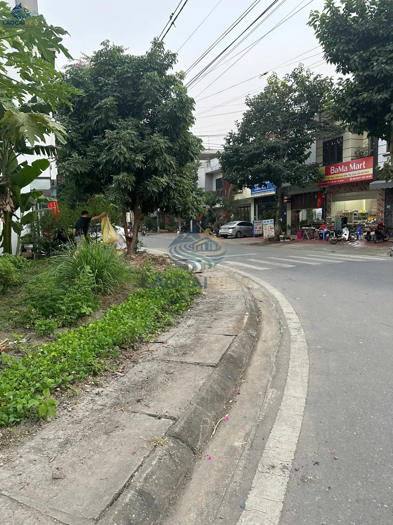 Ảnh 6
