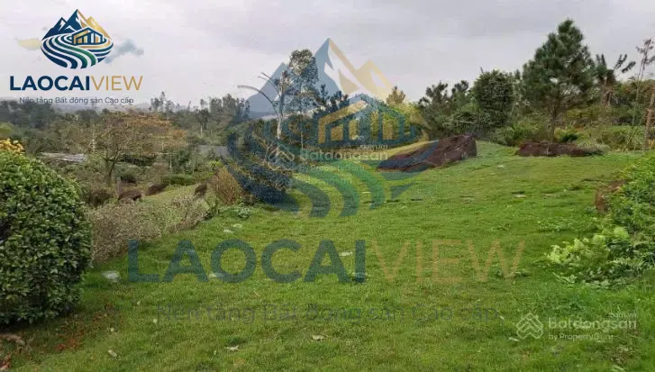 Ảnh 3