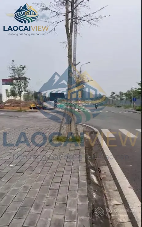 Đất thương mại sổ đỏ tại Thị trấn Mậu A, Lào Cai - 2.200m² - 15 triệu/m² - Cơ hội đầu tư sinh lời