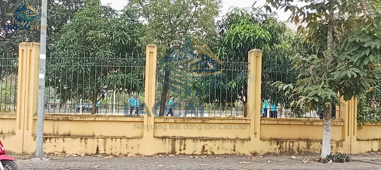 Ảnh 4